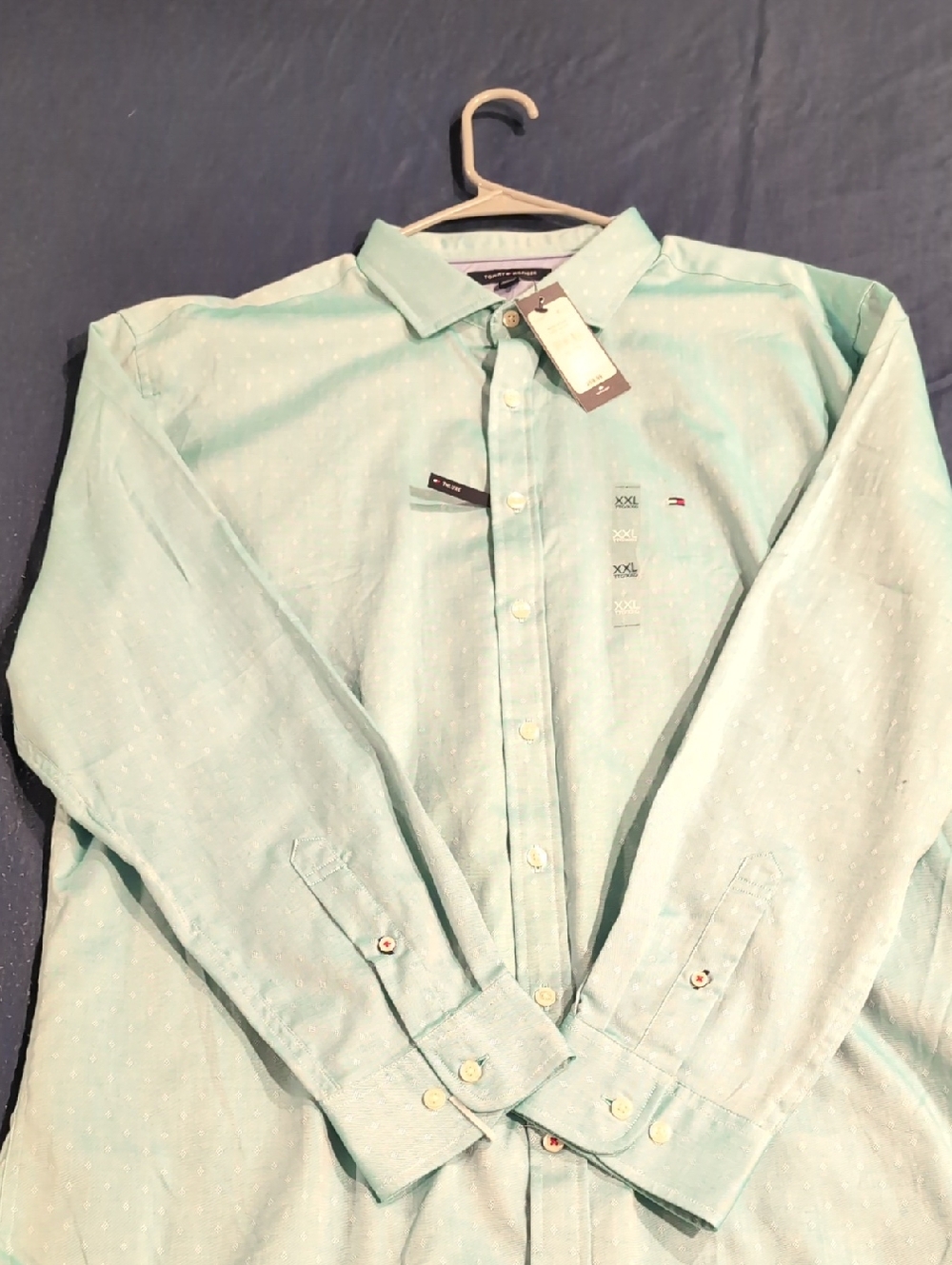 Tommy Hilfiger Men's Mint Green Long-Sleeve Button-Down Shirt